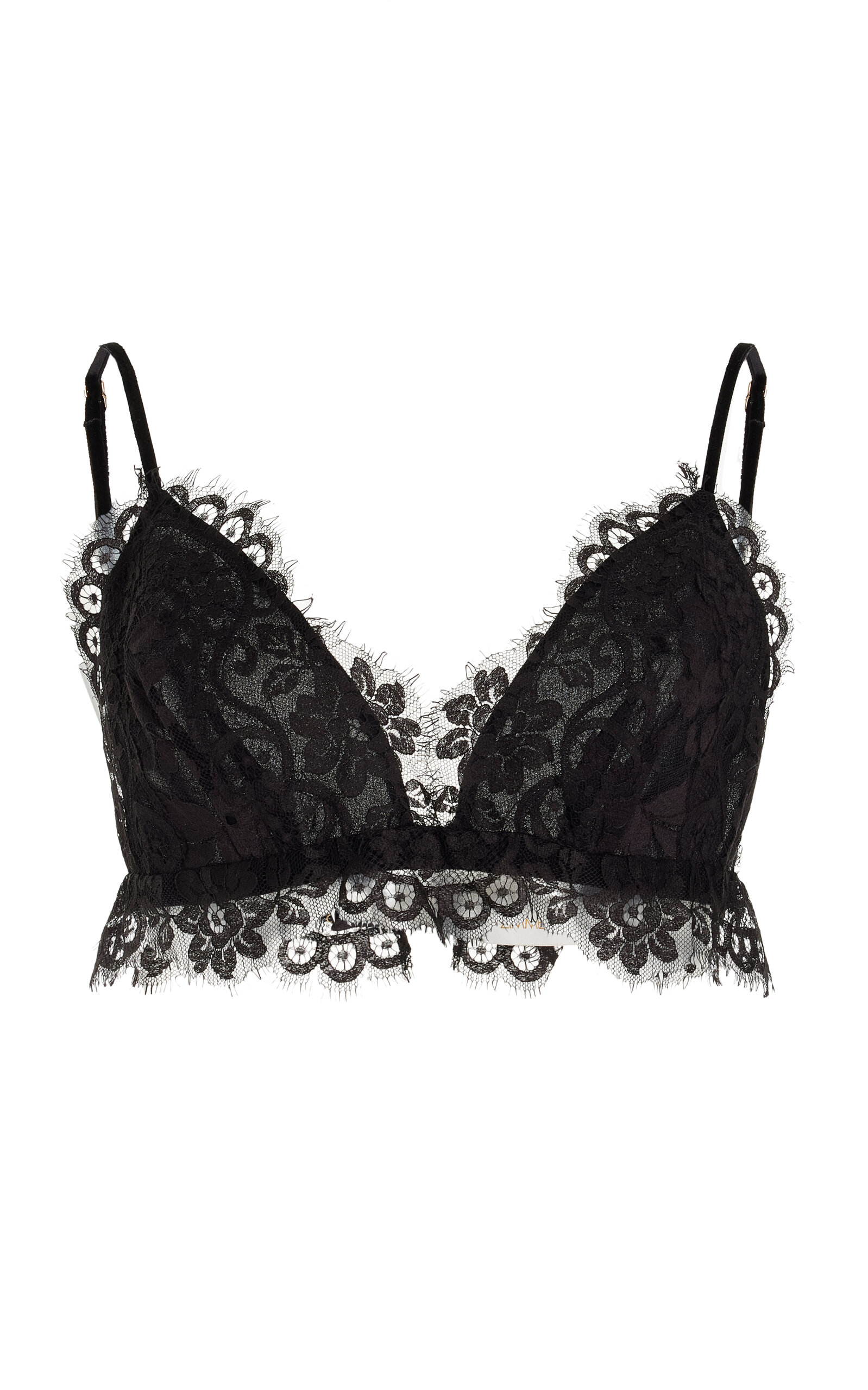 Zimmermann Illustration Lace Bralette In Black