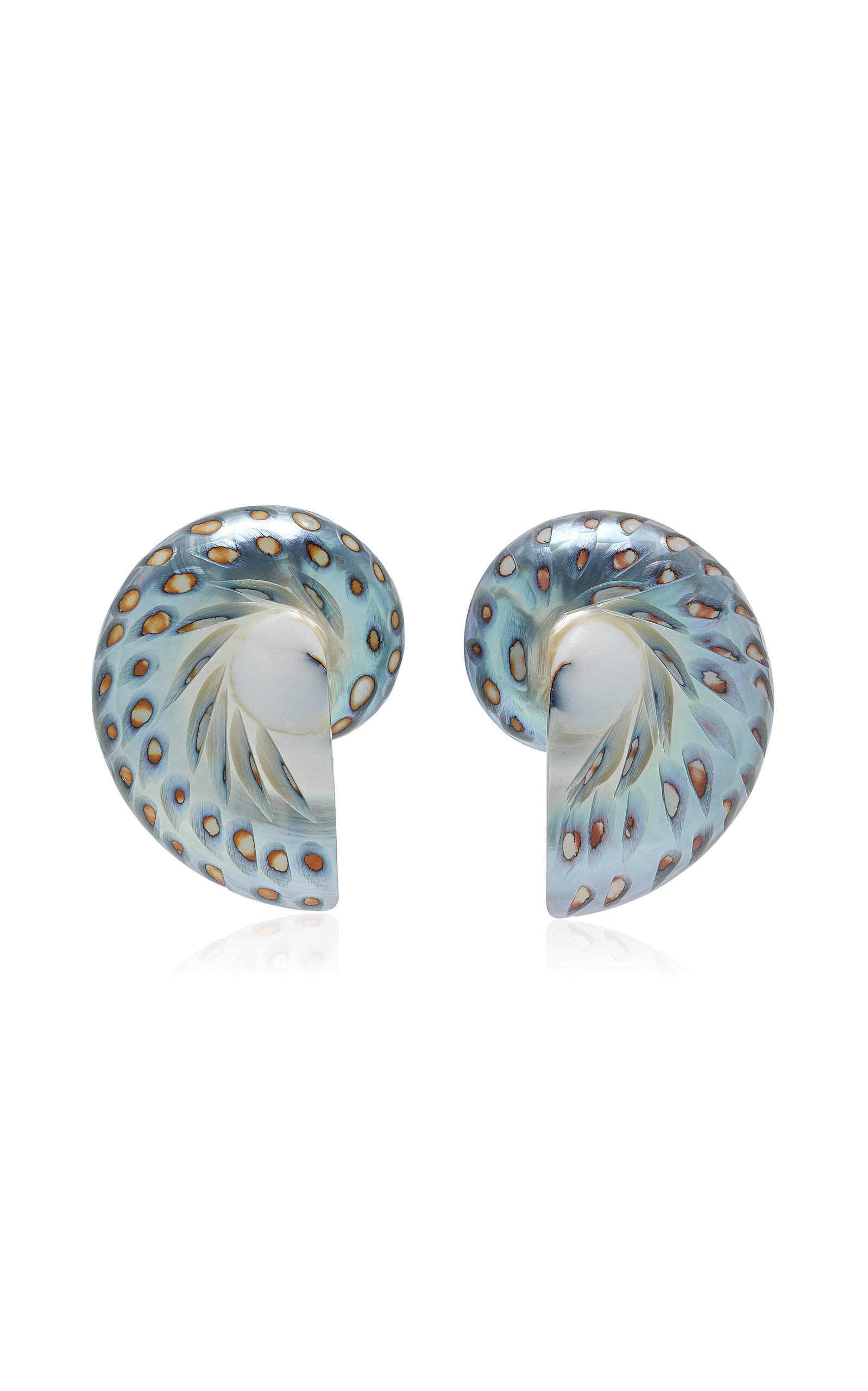 Exclusive Nautilus Shell Earrings