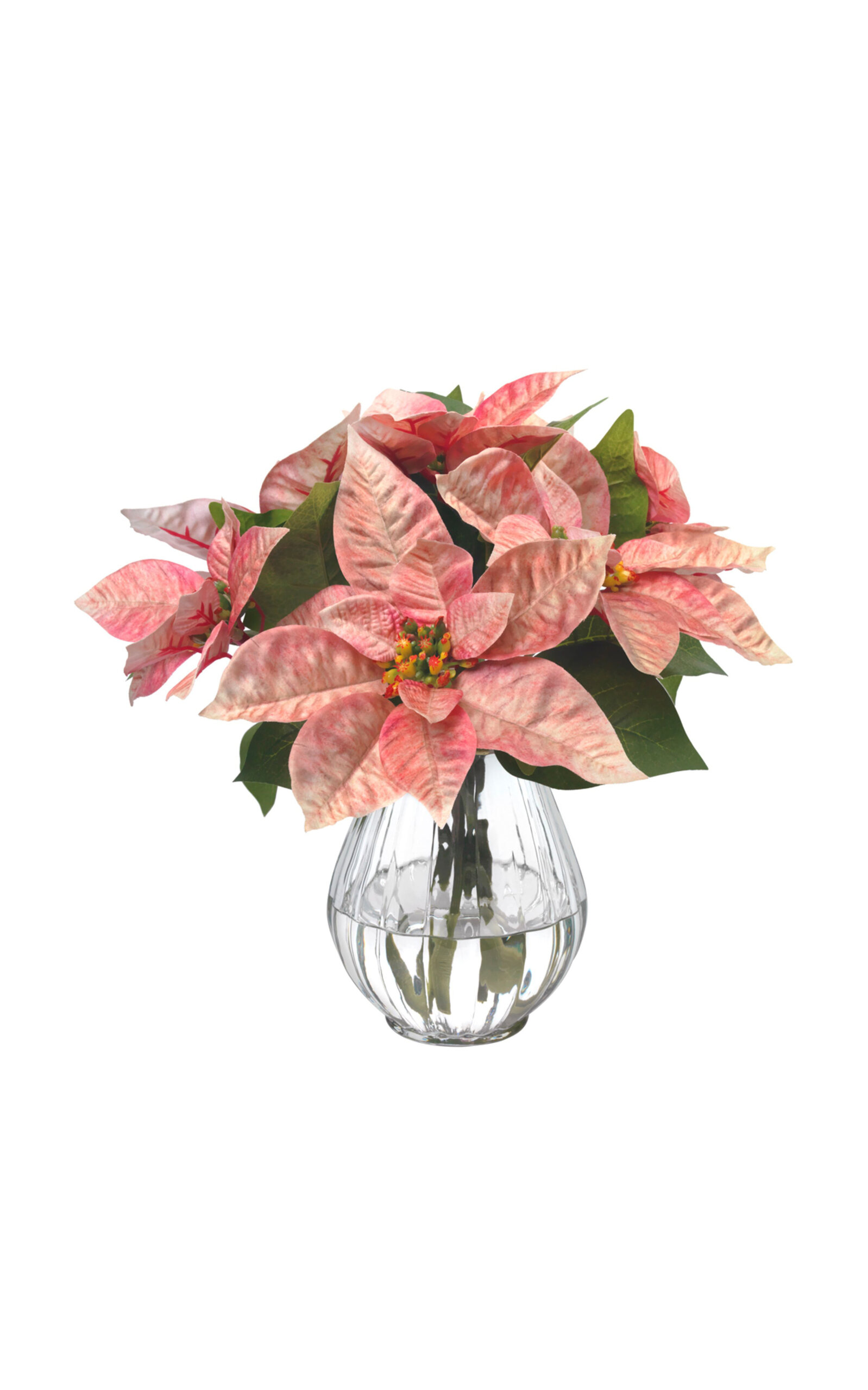 Diane James Designs Poinsettia In Glass Vase In Pink