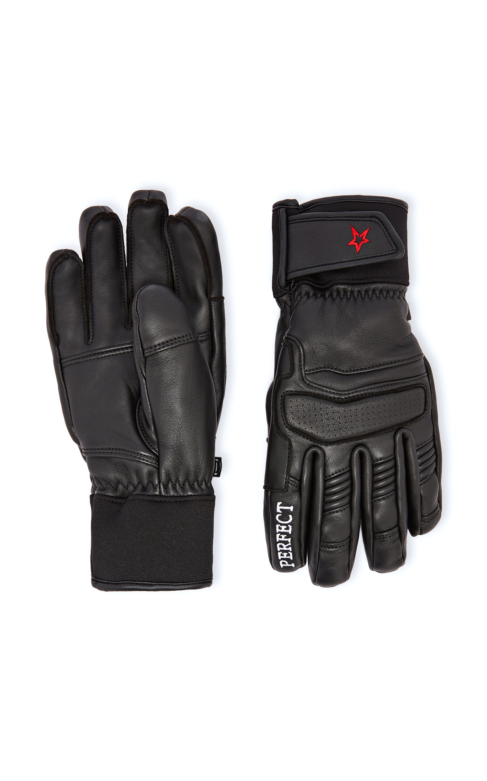 PM Leather Ski Gloves