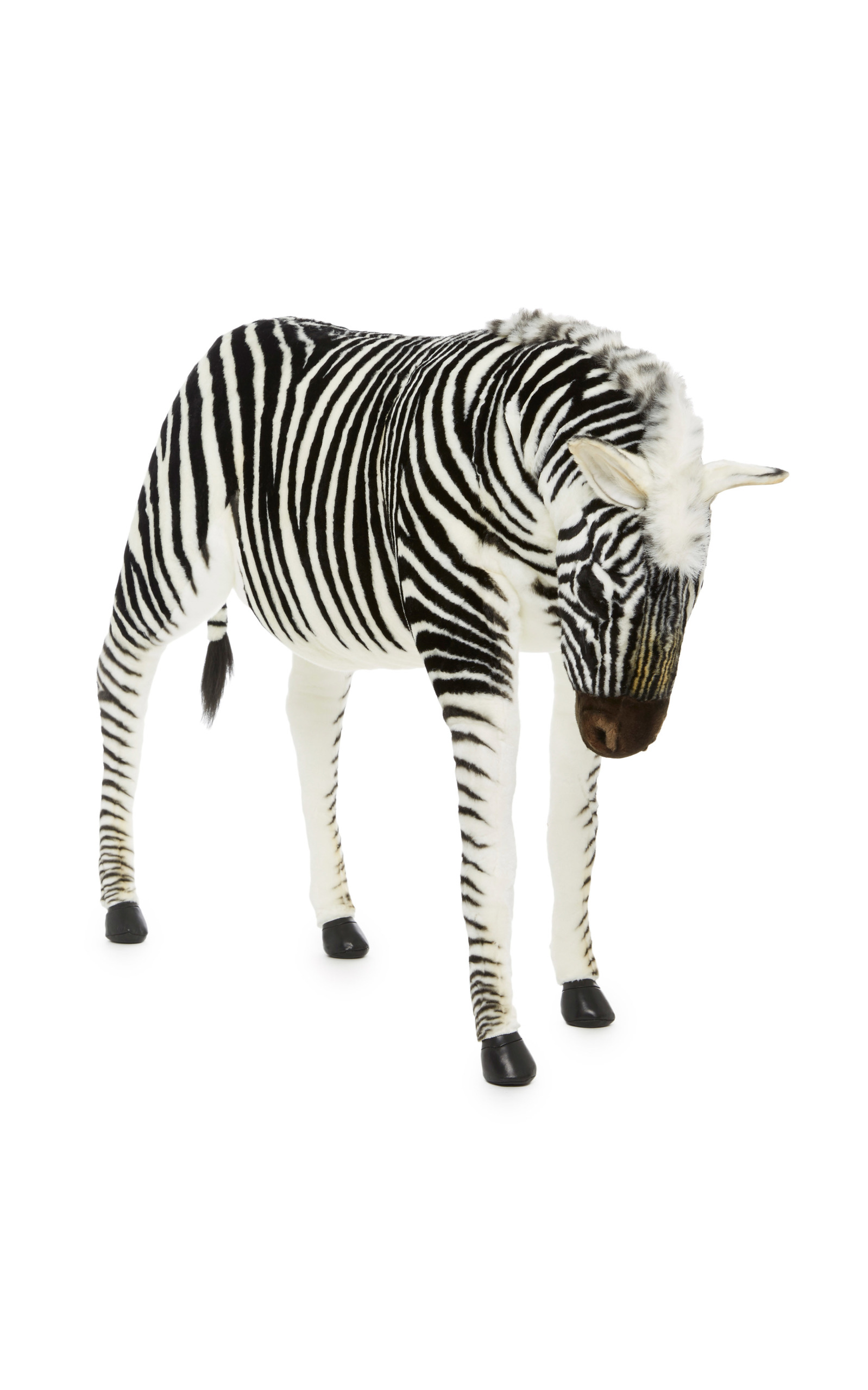 hansa zebra