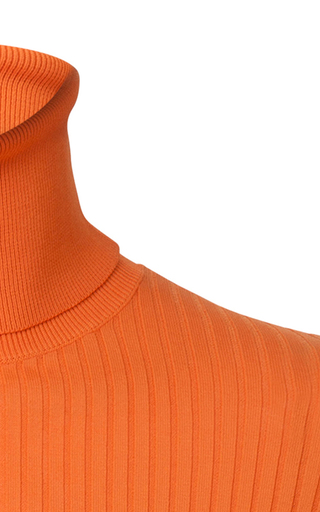 Stacy Ribbed Turtleneck展示图