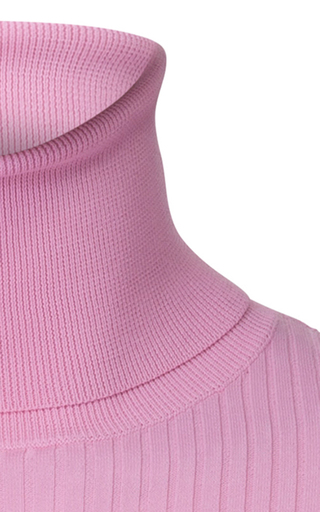 Stacy Ribbed Turtleneck展示图