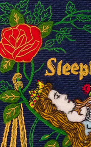 Sleeping Beauty Embroidered Book Clutch展示图