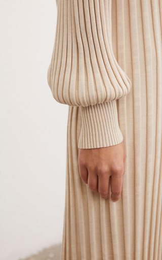 Arisarum Ribbed Knit Maxi Dress展示图