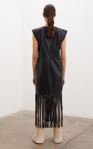 Mikania Leather Fringe Dress展示图