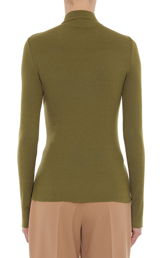 Extra Fine Merino Wool Ribbed Turtleneck Top展示图