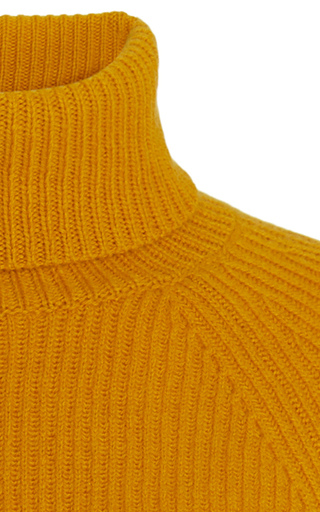 Wigman Ribbed Cashmere Turtleneck展示图