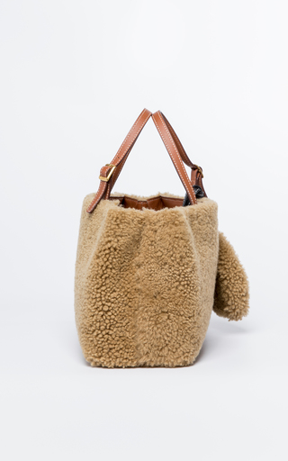 Lady Shearling Satchel Bag展示图