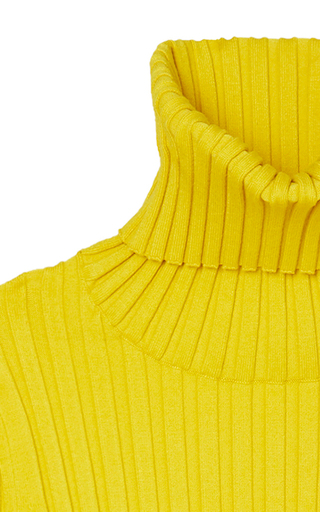 Ribbed Turtleneck Sweater展示图