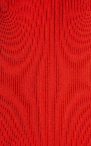 Ancelle Ribbed-Knit Turtleneck Top展示图